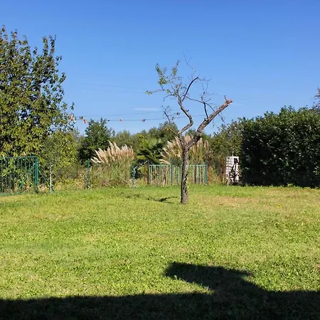 Apartamento Zambratija 7141c